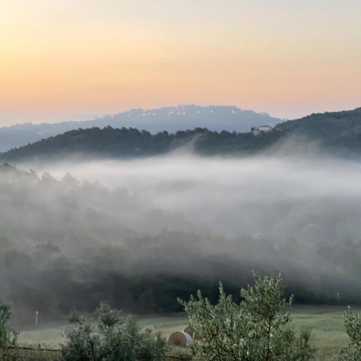 nirodha mindfullness immaginale panorama