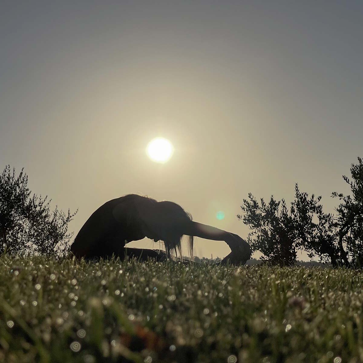 nirodha yoga sciamanico 4