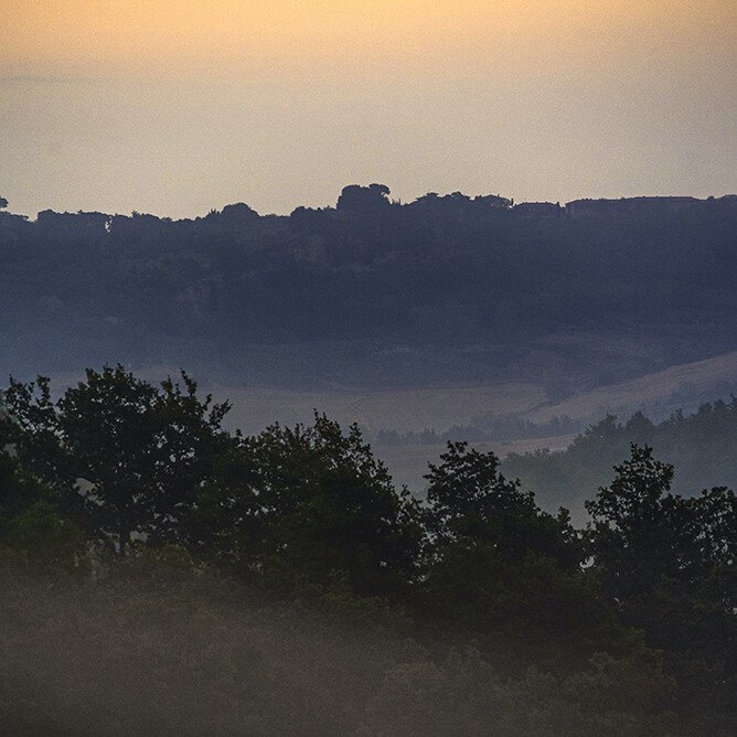 nirodha forest bathing 5 1
