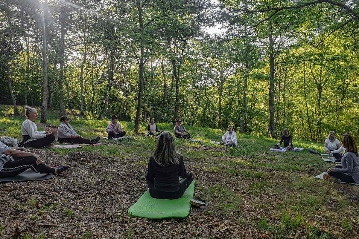 nirodha forest bathing 9