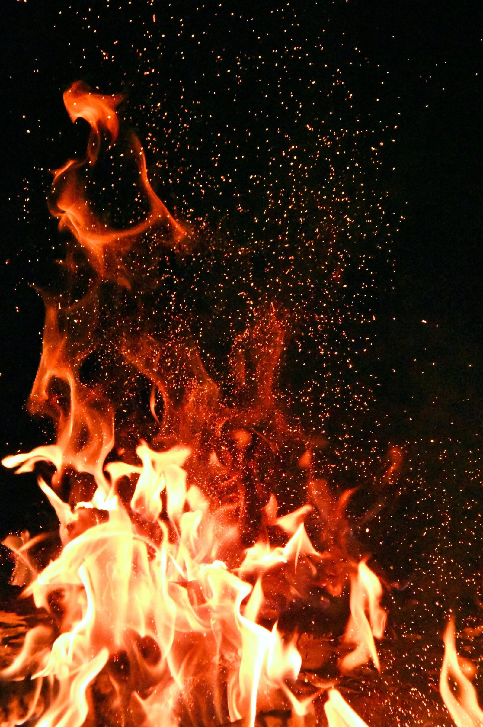 pexels adonyi gA¡bor 1558916